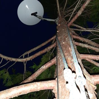 Arbor Ops Tree Service - No service for this Starlink Satellite on the ground. Our solution? Put it in a tree! - Tree Services Near Me Arbor Ops Tree Service - No service for this Starlink Satellite on the ground. Our solution? Put it in a tree! - Tree Services Near Me