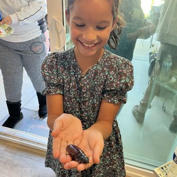 CMC Reptiles - Reptile Shops Near Me
