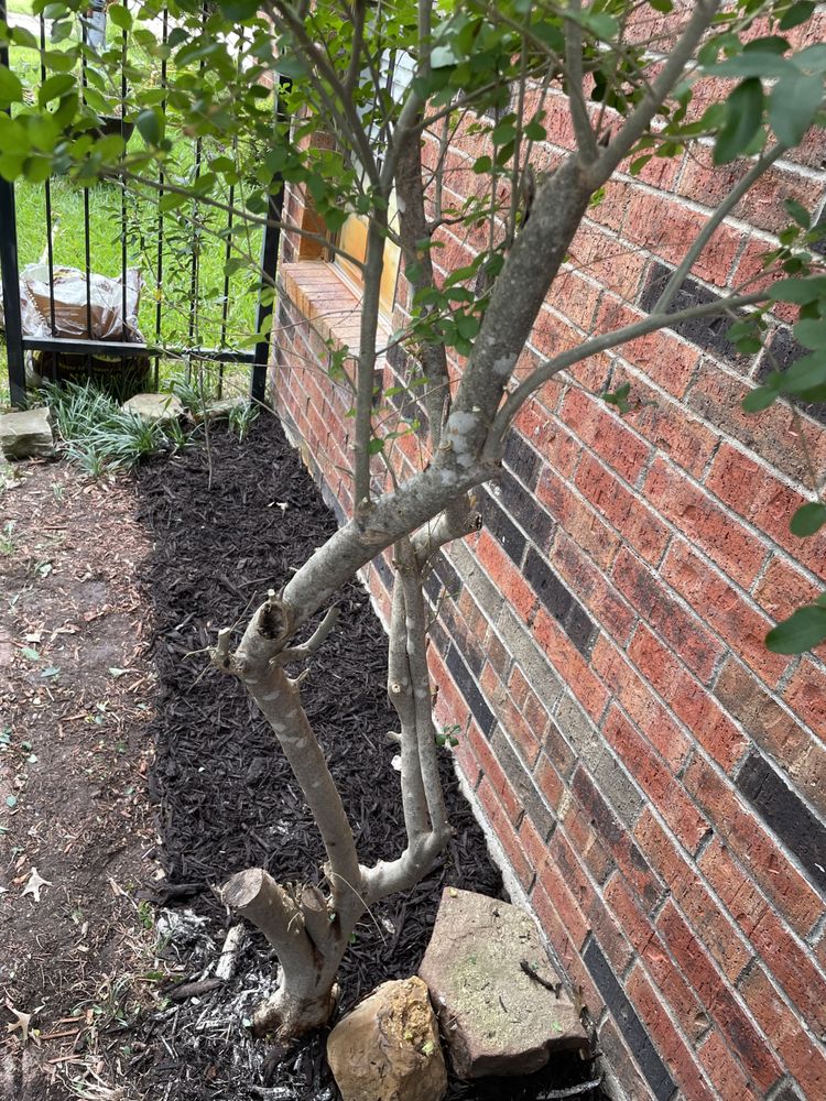 Slide of S.L.I.M. Contracting