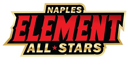 Naples Element All Stars - social services organization in Naples, FL