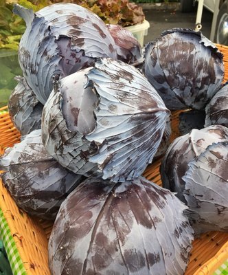 Tonnemaker Valley Farm & Woodinville Farm Stand by null