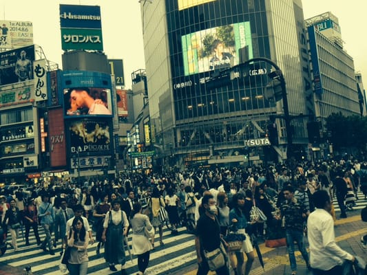 Shibuya Scramble Crossing by null