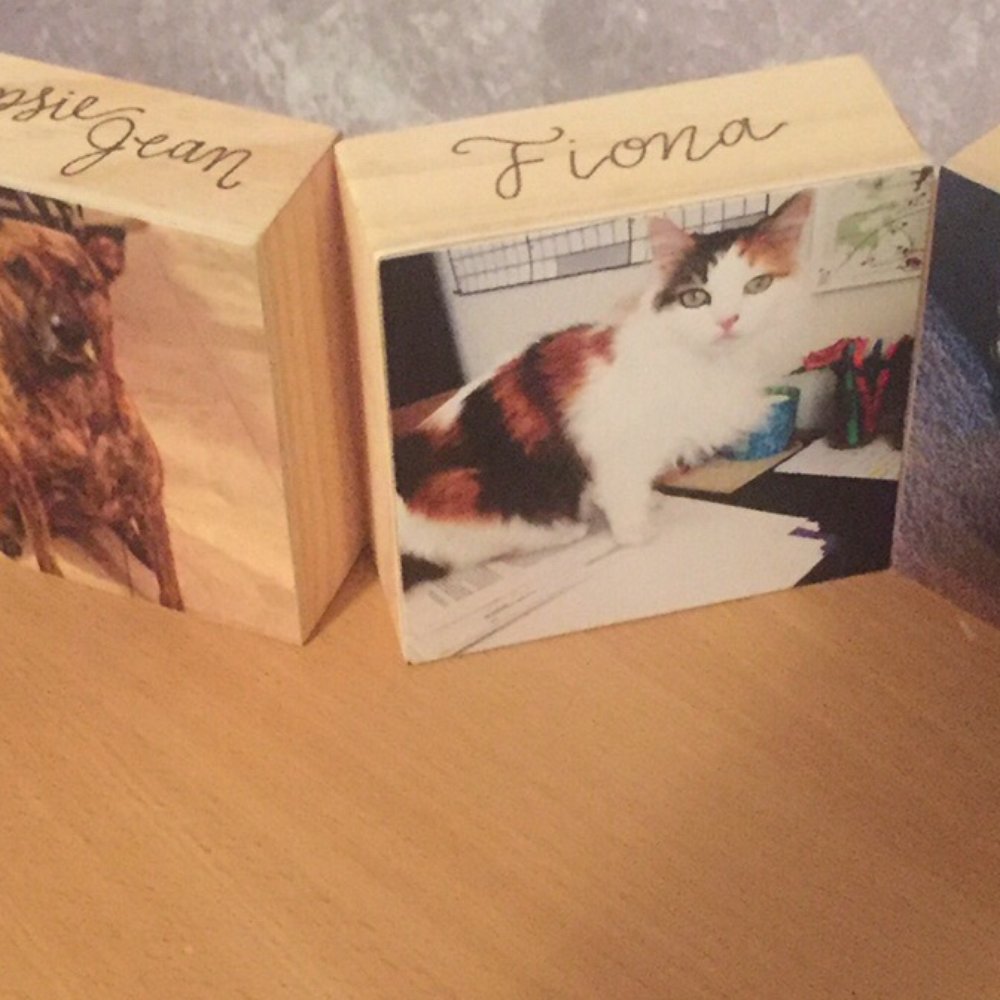 The wooden blocks with printed pictures of my pets to replace my normal, boring picture frames. The wooden blocks with printed pictures of my pets to replace my normal, boring picture frames.