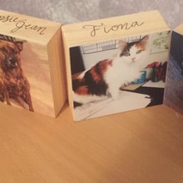The wooden blocks with printed pictures of my pets to replace my normal, boring picture frames. The wooden blocks with printed pictures of my pets to replace my normal, boring picture frames.