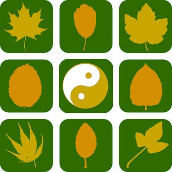 Thomas von Stockhausen - Naturopathic/Holistic Near Me - Dusseldorf, NW Thomas von Stockhausen - Naturopathic/Holistic Near Me - Dusseldorf, NW