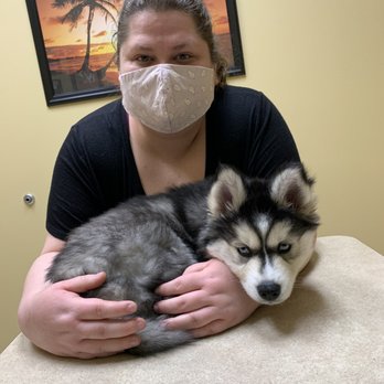 Bark Busters - Pet Training Near Me - Henderson, Nevada