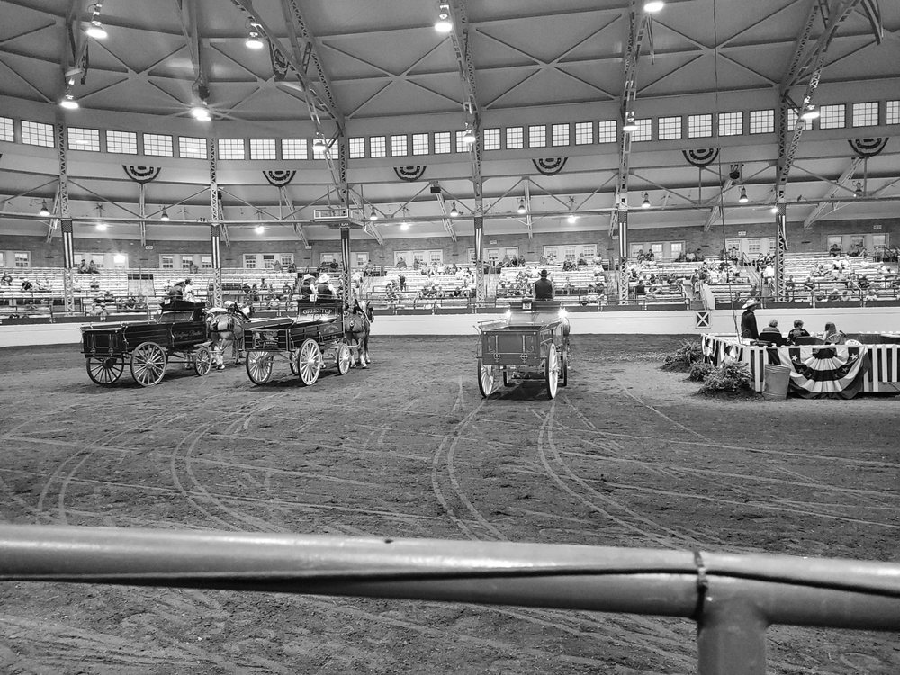 Willow Creek Stable - equestrian in Bethalto, IL