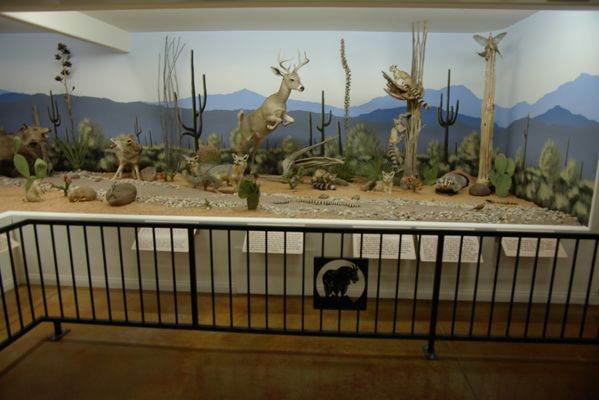 Bryce Wildlife Adventure by null