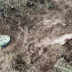 Affordable Service Plumbing, HVAC & Electricians - This used to be full of lamb's ear, Yarrow, a butterfly bush, and sage and lavender.