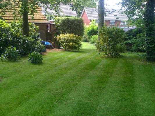 Top-Tier Lawn Care for Homes & Commercial Properties - Expert Mowing, Edging, and Turf Health for Businesses and Residences

Ensure your lawns always look immaculate—whether you manage a business or own a home. Our professional team provides routine mowing, edging, weed control, and seasonal maintenance for commercial properties and houses. Count on 20+ years of expertise and dependable, timely service to keep your turf green, healthy, and guest-ready all year round.