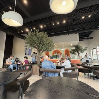 Kyuu Cafe - Cafes Near Me - Shelby Township, Michigan