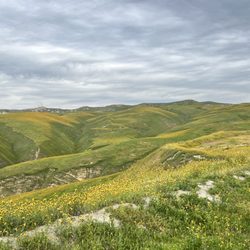 The Ernst Quarries