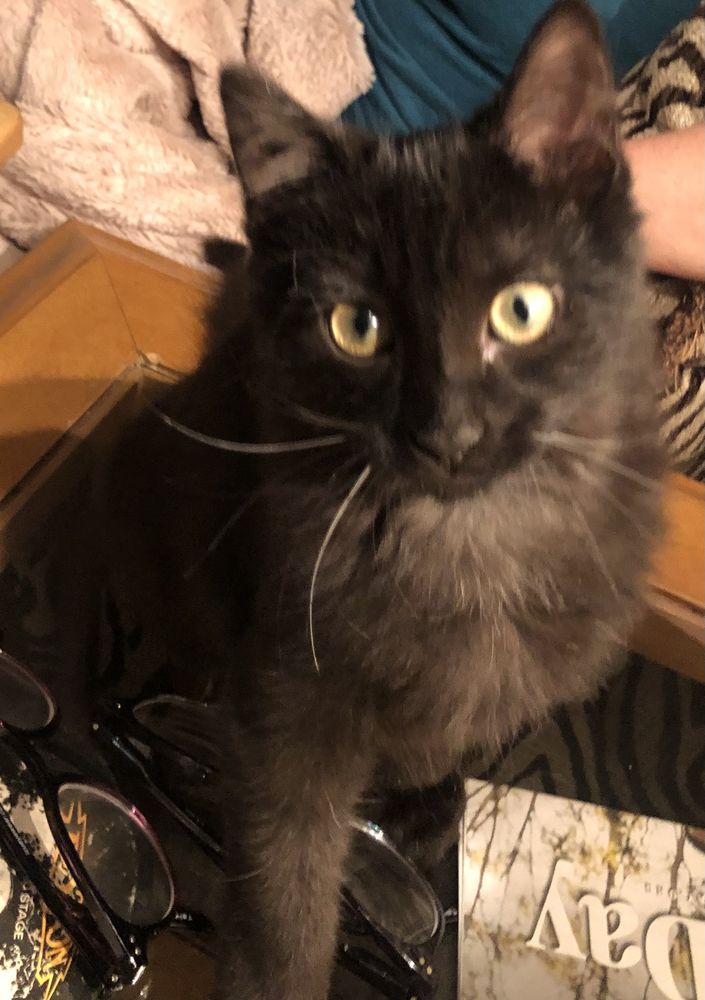 WOODY’S PET FOOD DELI Updated September 2024 11 Photos & 22 Reviews