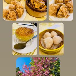 Nice Dimsum with reasonable price. Nice Dimsum with reasonable price.