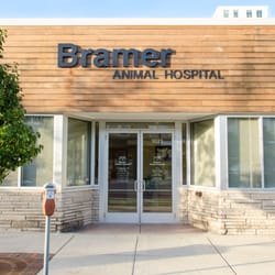 Bramer Animal Hospital - Bramer Animal Hospital