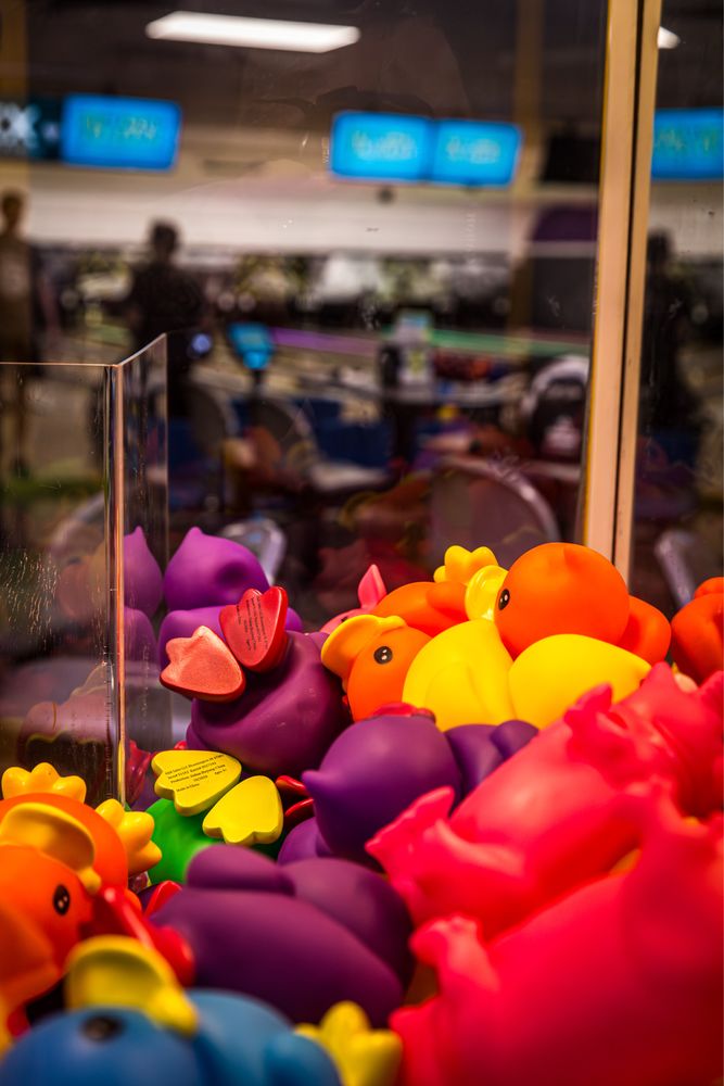 Adel Family Fun Center Logo