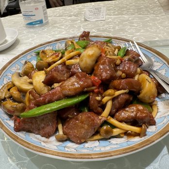 Starchiva - Chinese Near Me - Richmond Hill, Ontario Starchiva - Chinese Near Me - Richmond Hill, Ontario