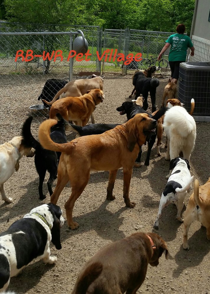 RED BRIDGE WINDING RIVER PET VILLAGE Updated October 2024 10 Photos