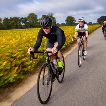 agee's bicycles cary street