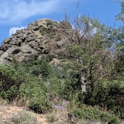 Monument Peak Trailhead - I guess the peak