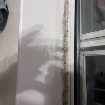 Cascades Apartments - grew back after being cleaned but it was dry mold ??? - Apartments Near Me - Fresno, California