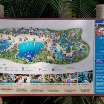 Discovery Cove - Amusement Parks Near Me - Orlando, Florida