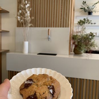 Scorpio Coffee - Chocolate Chip Walnut Cookie - Coffee & Tea Near Me - Sacramento, California Scorpio Coffee - Chocolate Chip Walnut Cookie - Coffee & Tea Near Me - Sacramento, California