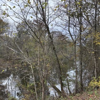Tunnel Hill State Trail - Hiking Near Me - Vienna, Illinois Tunnel Hill State Trail - Hiking Near Me - Vienna, Illinois