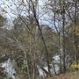 Photo of Tunnel Hill State Trail