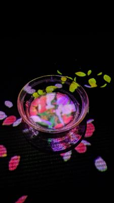 EN TEA HOUSE 幻花亭D rec by null