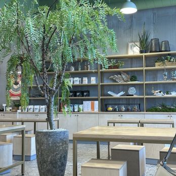 Enchanted Coffee - Coffee & Tea Near Me - Los Angeles, California Enchanted Coffee - Coffee & Tea Near Me - Los Angeles, California