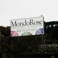 MondoRose