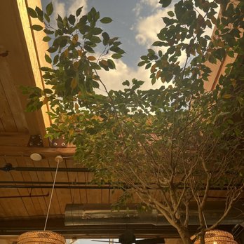 NU Kitchen - Sun roof inside right over their community table. - Juice Bars & Smoothies Near Me - Worcester, Massachusetts