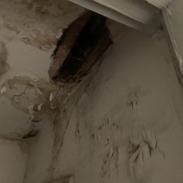 Leaky ceiling because the window installer ghosted us mid project.