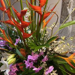 David Jeffrey Florist