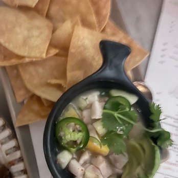 Pigeon and Whale - Ceviche - Cocktail Bars Near Me - New Orleans, Louisiana Pigeon and Whale - Ceviche - Cocktail Bars Near Me - New Orleans, Louisiana