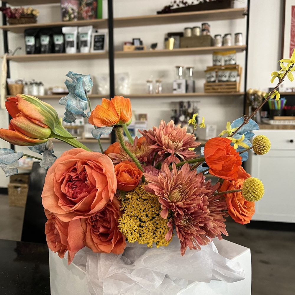 Jasmine Jo Coffee & Flowers - Flowers - Coffee & Tea Near Me - Phoenix, Arizona Jasmine Jo Coffee & Flowers - Flowers - Coffee & Tea Near Me - Phoenix, Arizona