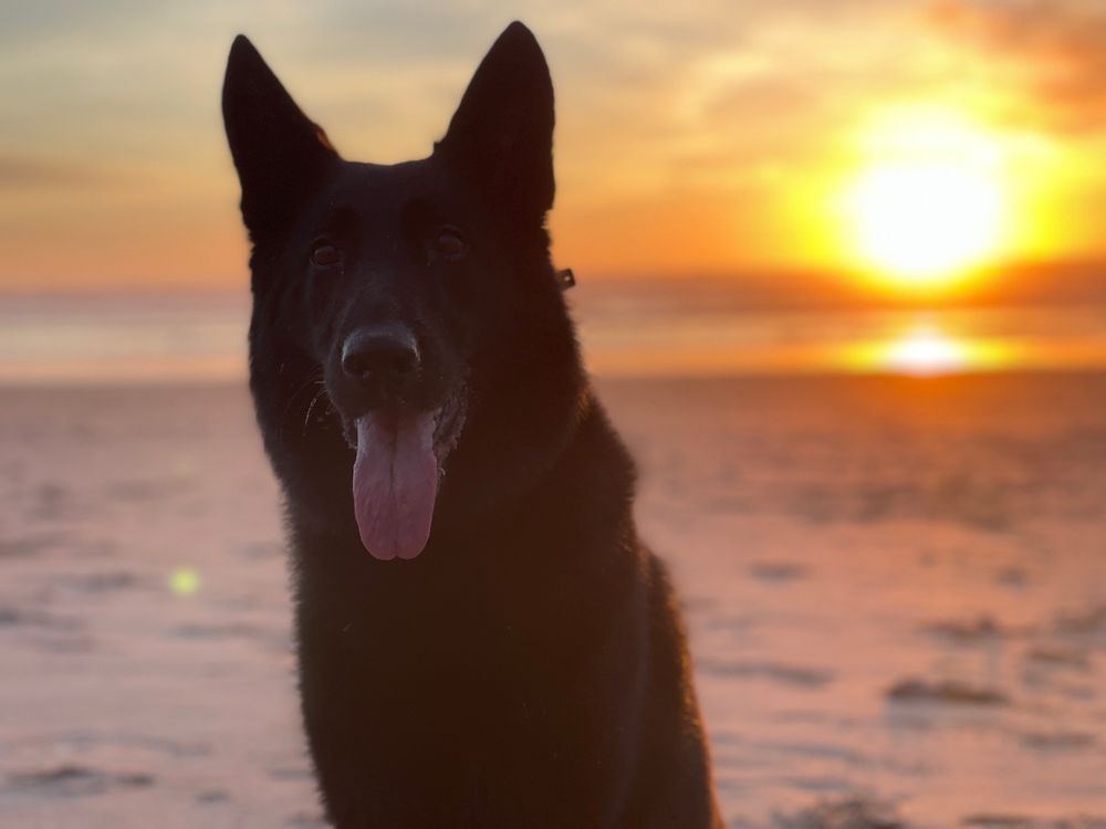 MANZANITA BEACH Updated August 2024 75 Photos & 45 Reviews