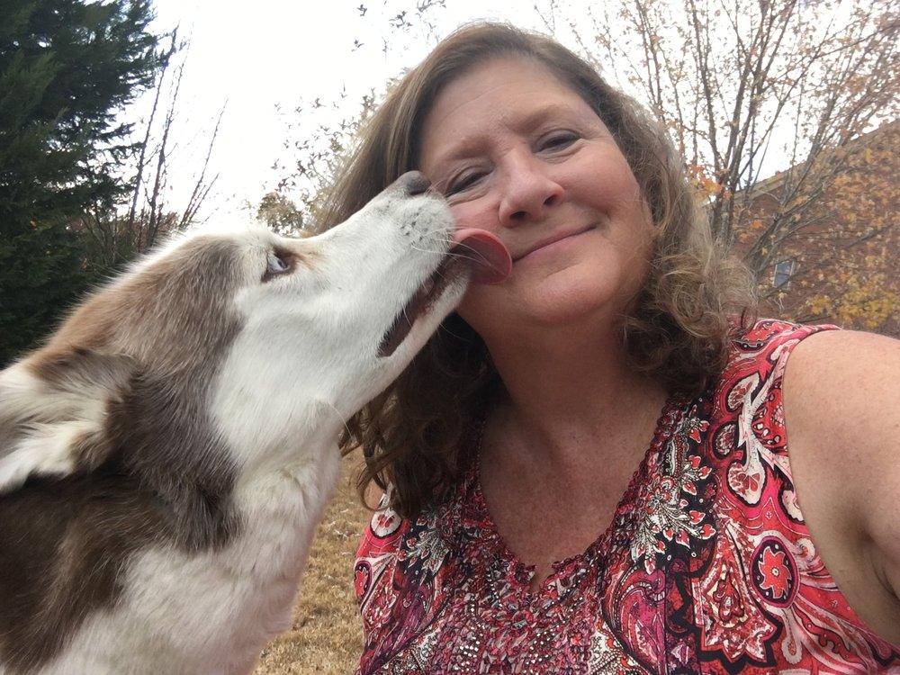 ME & MY PET SITTER Dallas, Dog Walkers Phone Number Yelp