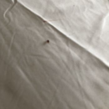 Vacasa - Big Bear Lake - More bed bugs - Vacation Rentals Near Me - Big Bear Lake, California
