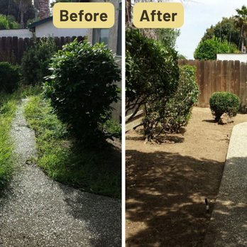Aaron's Clean-Ups - Tree Services Near Me