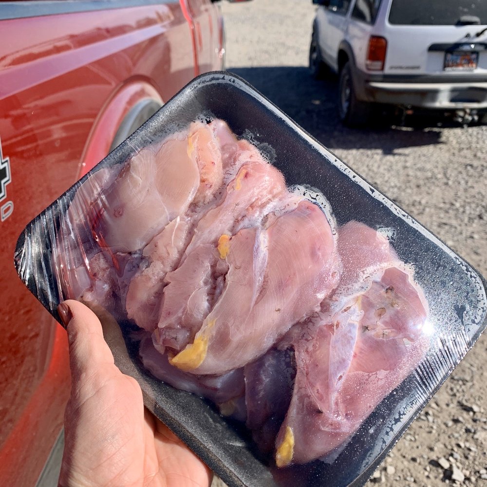 Wasatch Wing and Clay - Pheasant all cleaned up and packed for us! - Wildlife Hunting Ranges Near Me - Cedar Fort, Utah