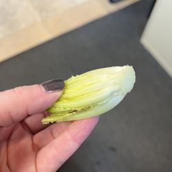 Saladworks - Lettuce core in my salad