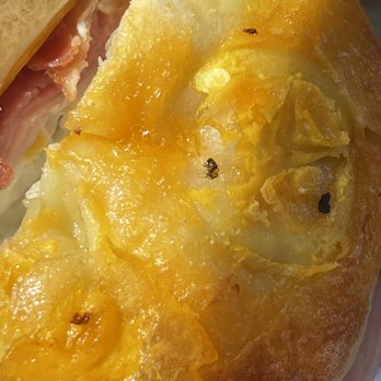 Einstein Bros. Bagels - Bagels Near Me - Long Beach, California Einstein Bros. Bagels - Bagels Near Me - Long Beach, California