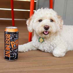Fetch Park - Beer + Pup @tiffhuangry