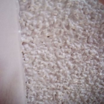 Motel 6 - Photos of holes in the ceiling that may possibly be used as peepholes. - Hotels Near Me - Flagstaff, Arizona Motel 6 - Photos of holes in the ceiling that may possibly be used as peepholes. - Hotels Near Me - Flagstaff, Arizona