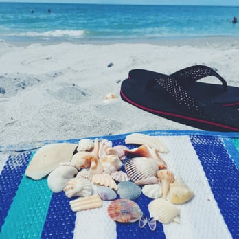Bowman's Beach - I did lots of shelling which I had hoped to do and even saw a dolphin swim by. It's such a love island. - Beaches Near Me - Sanibel, Florida Bowman's Beach - I did lots of shelling which I had hoped to do and even saw a dolphin swim by. It's such a love island. - Beaches Near Me - Sanibel, Florida