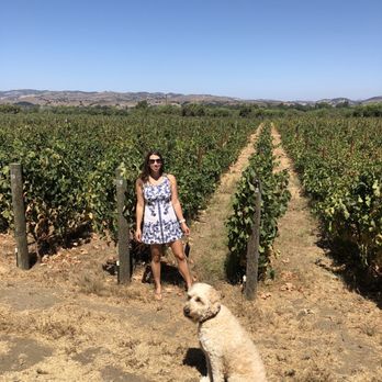 Lavender Oak Vineyard - Grapes ! - Wineries Near Me - Buellton, California