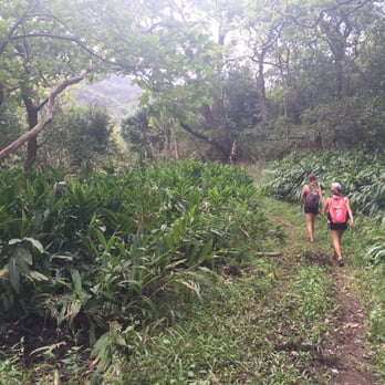 Moanalua Valley Trail - Hiking Near Me - Moanalua, Hawaii Moanalua Valley Trail - Hiking Near Me - Moanalua, Hawaii