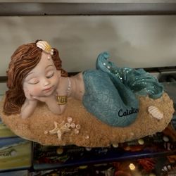 Catalina Seashell